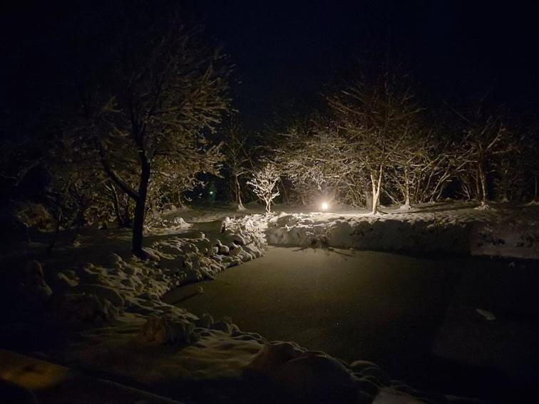 Akmeninis Bebras Villa Zemaiteliai Bagian luar foto
